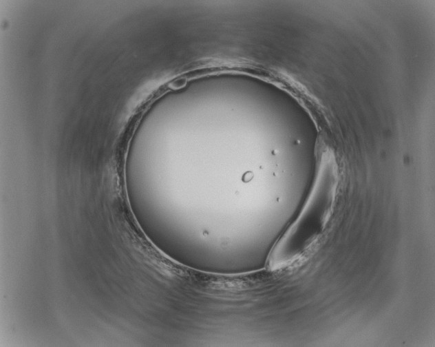 X0000070381215200606121244