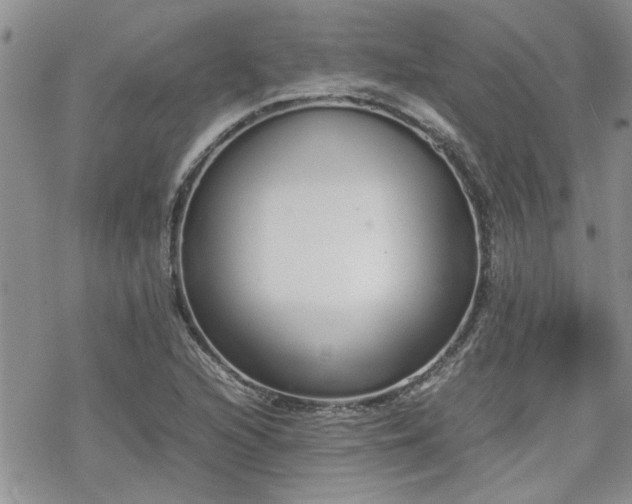 X0000070381216200606121244