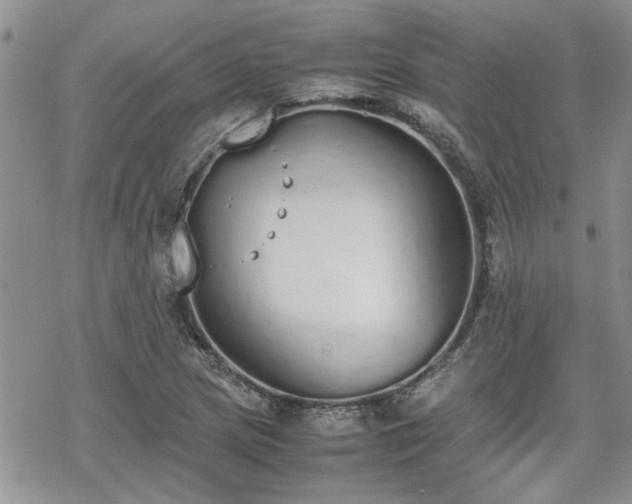 X0000070381217200606121244