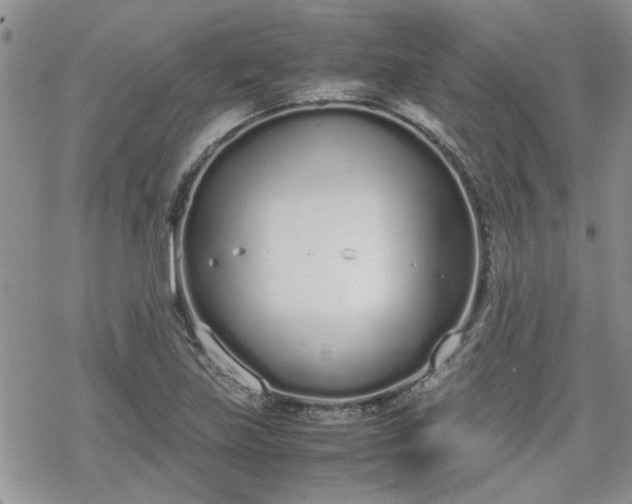 X0000070381219200606121244