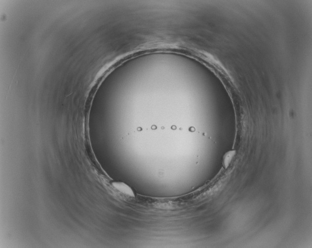 X0000070381220200606121244