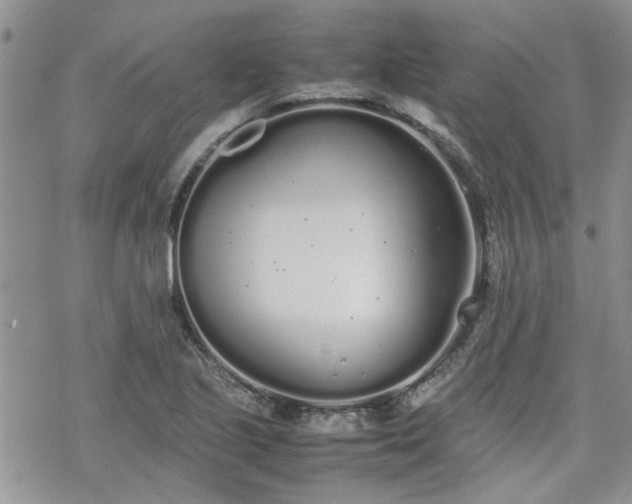 X0000070381221200606121244