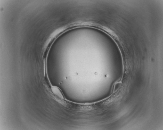 X0000070381223200606121244