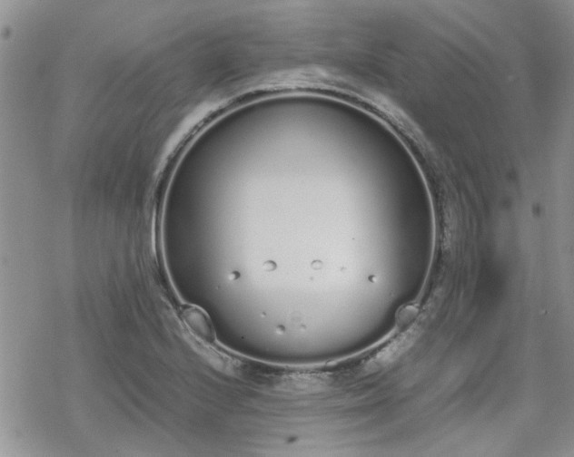 X0000070381224200606121244