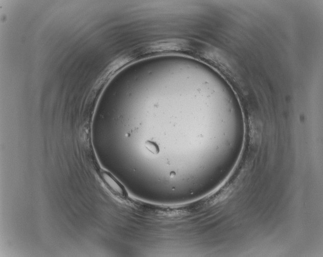 X0000070381225200606121244