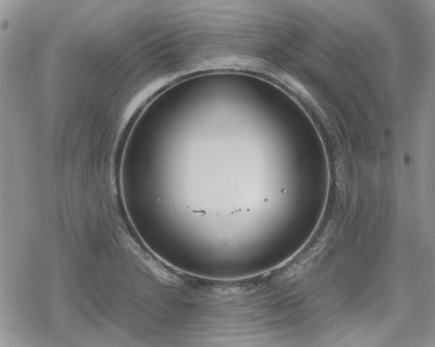 X0000070381230200606121244