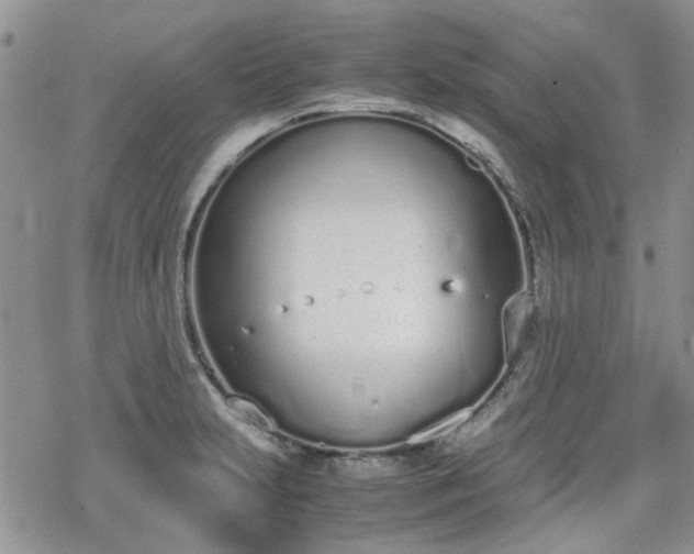 X0000070381231200606121244