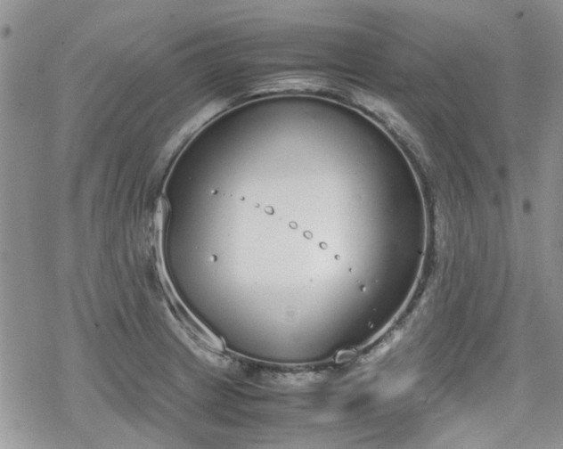 X0000070381233200606121244