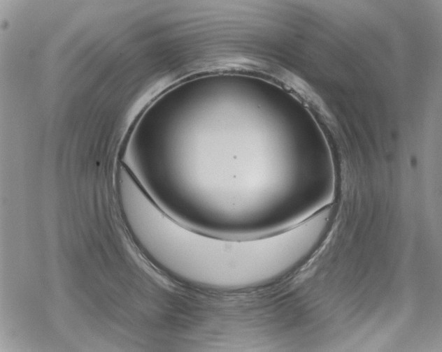 X0000070381234200606121244