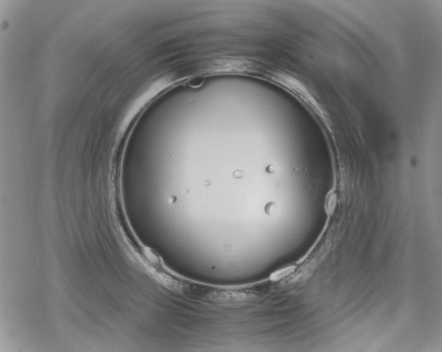 X0000070381235200606121244