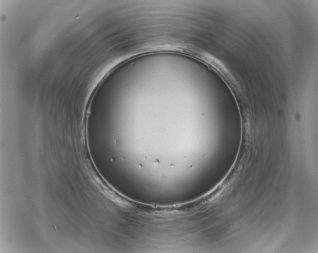 X0000070381236200606121245