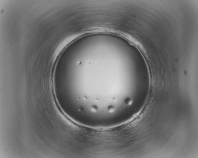 X0000070381239200606121245