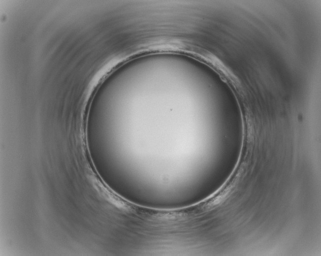 X0000070381240200606121245