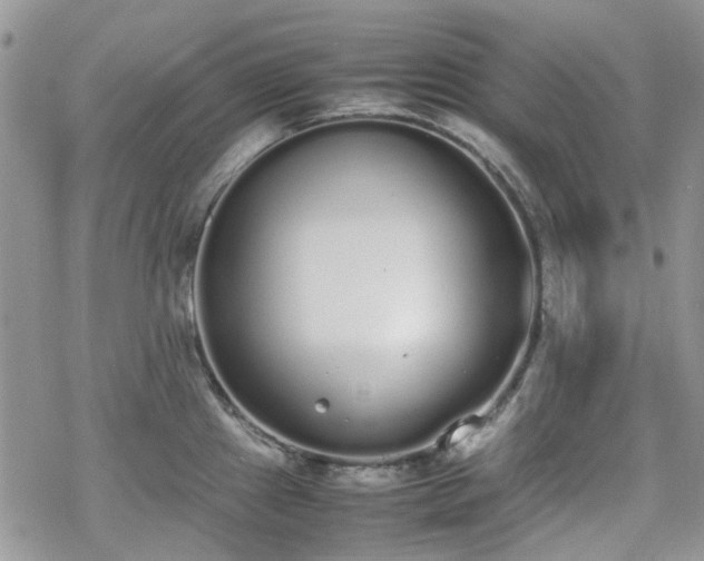 X0000070381241200606121245