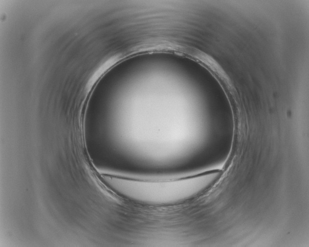 X0000070381242200606121245