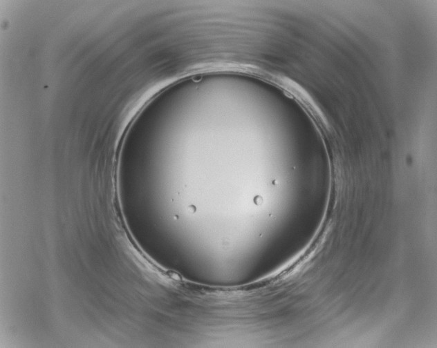 X0000070381244200606121245