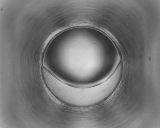 X0000070381246200606121245