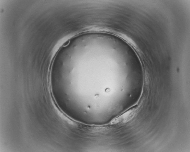 X0000070381247200606121245