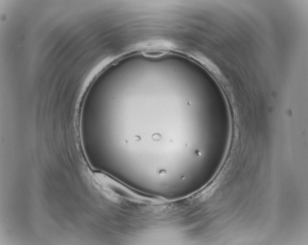 X0000070381248200606121245