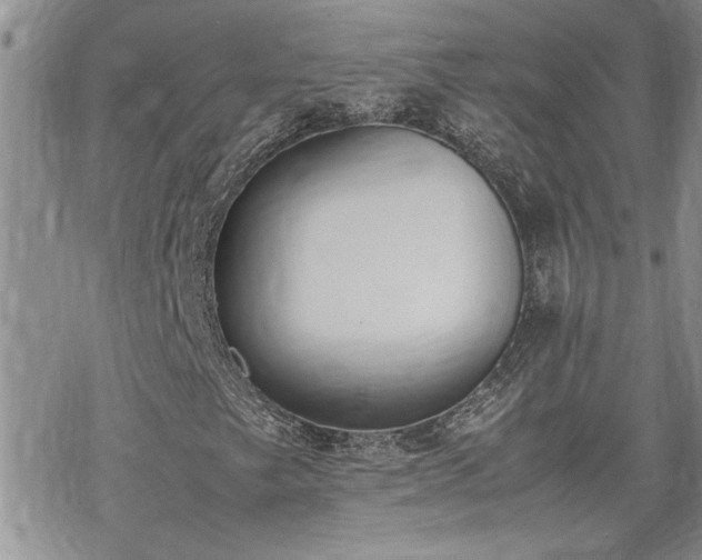 X0000070381249200606121244