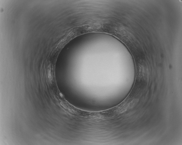 X0000070381250200606121244