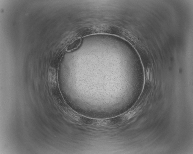 X0000070381251200606121244