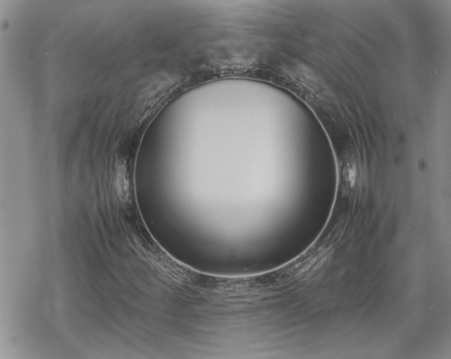 X0000070381252200606121244