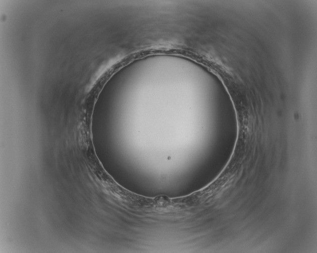 X0000070381256200606121244