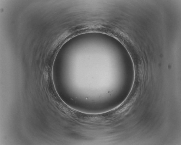 X0000070381257200606121244