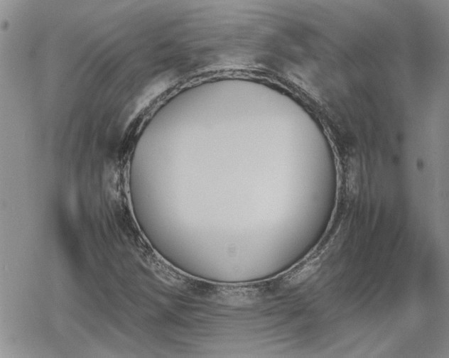 X0000070381258200606121244