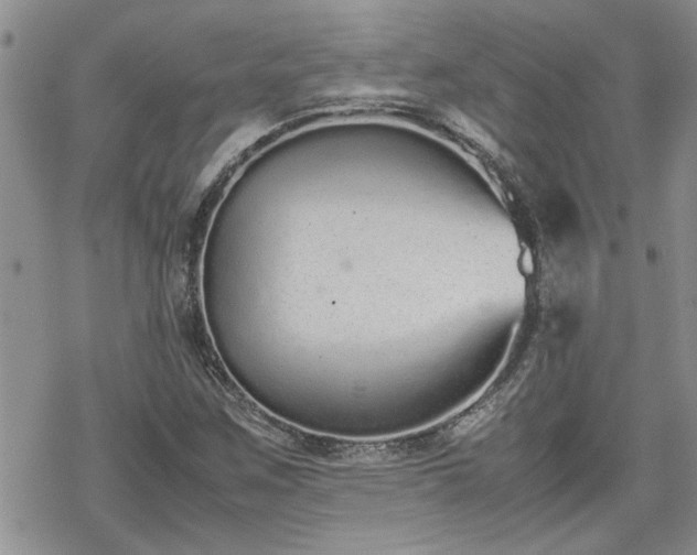 X0000070381259200606121244