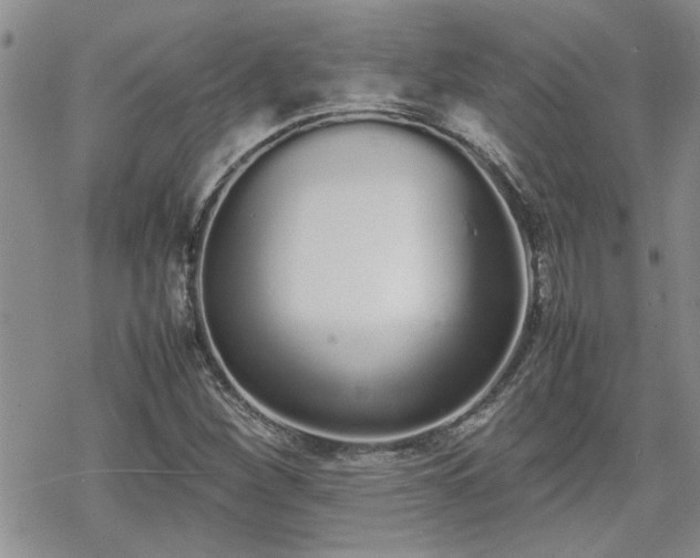 X0000070381260200606121244