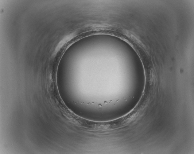 X0000070381261200606121244