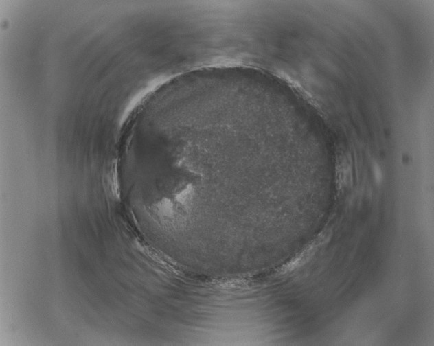 X0000070381262200606121244