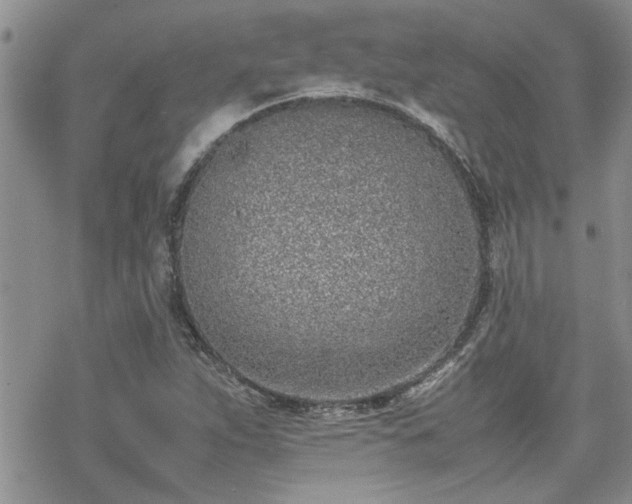 X0000070381263200606121244