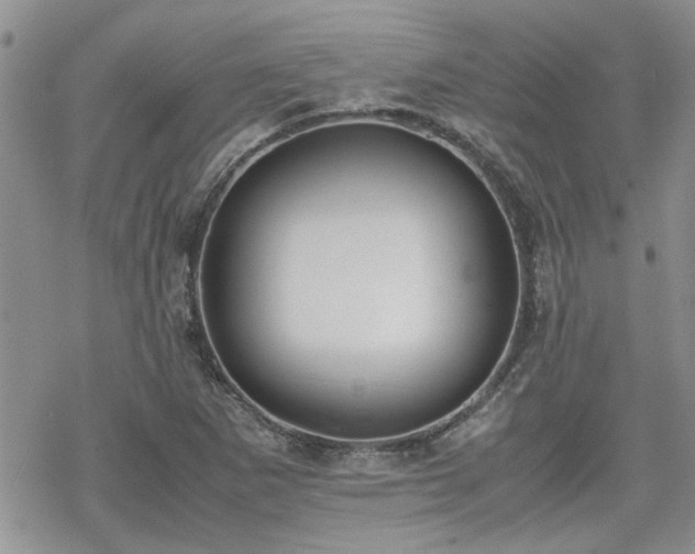 X0000070381265200606121244