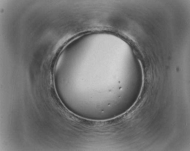 X0000070381267200606121244