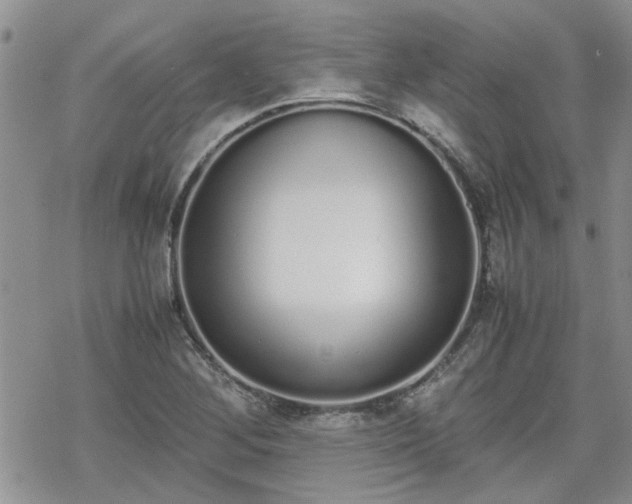 X0000070381268200606121244