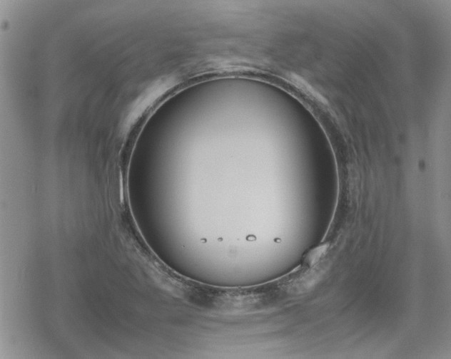 X0000070381269200606121244