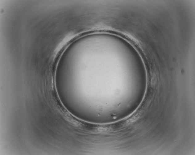 X0000070381271200606121244