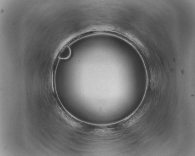 X0000070381272200606121244