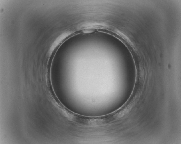 X0000070381277200606121243