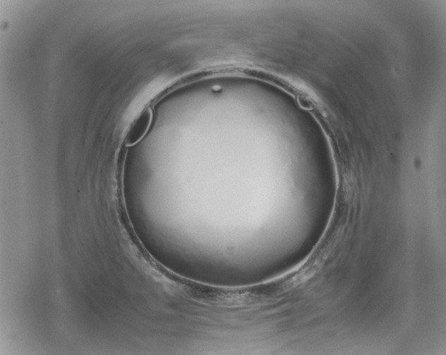 X0000070381279200606121243