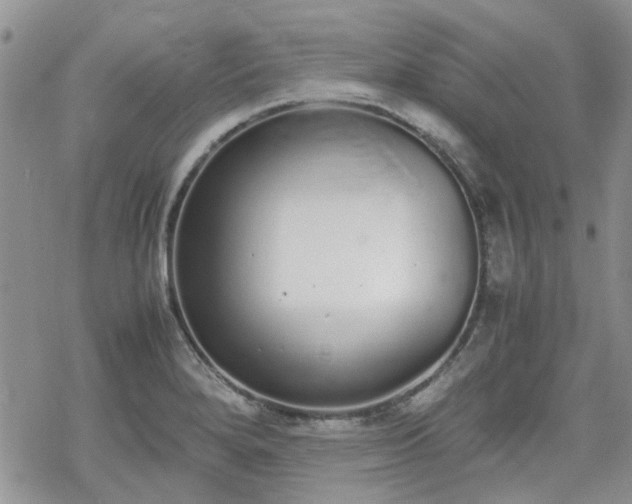 X0000070381280200606121243