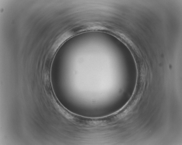 X0000070381281200606121243