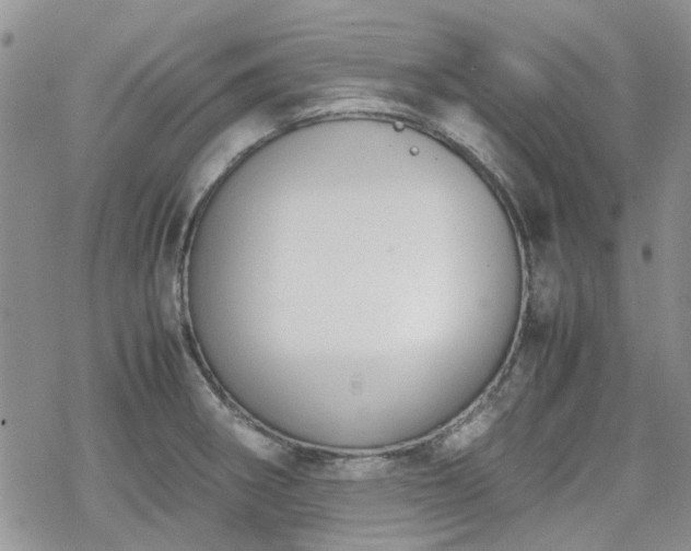 X0000070381282200606121243