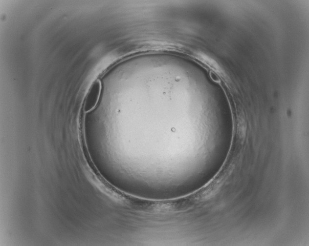 X0000070381283200606121243