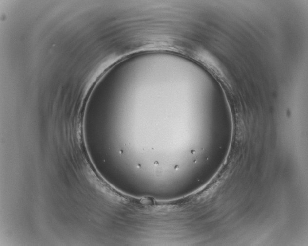 X0000070381284200606121243