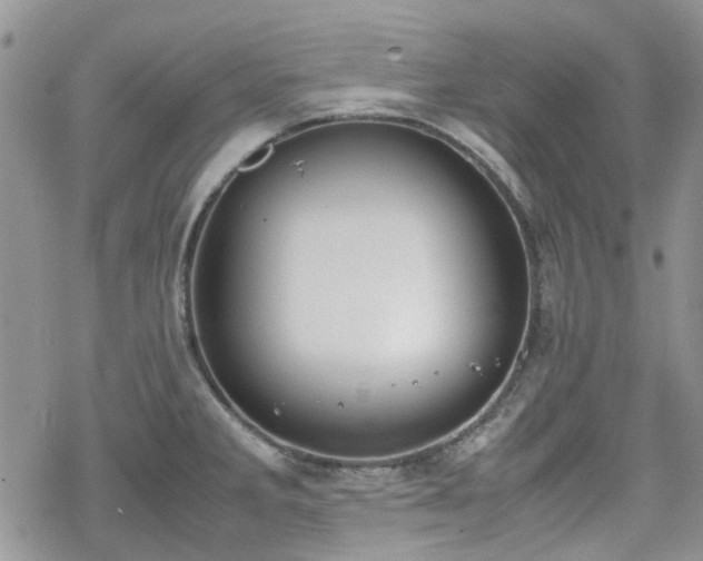 X0000070381285200606121243