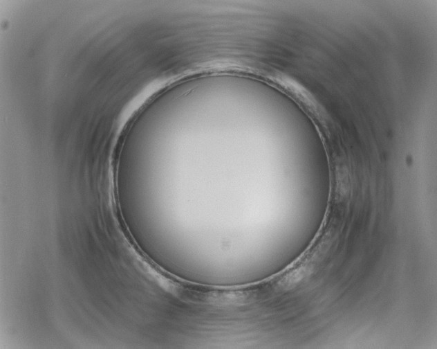 X0000070381286200606121243